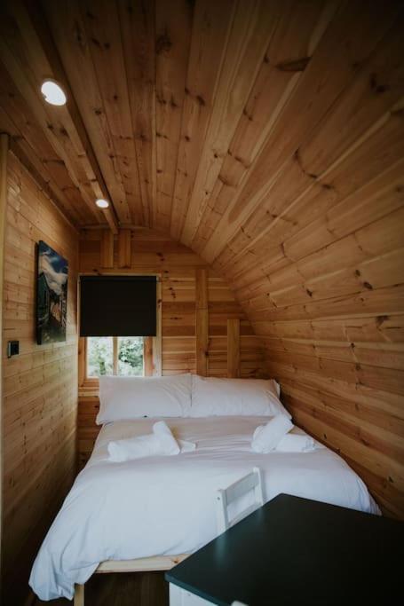 Апартаменти Pine Cosy Winter Cabin - Hot Tub & Log Burner Бармут Екстер'єр фото